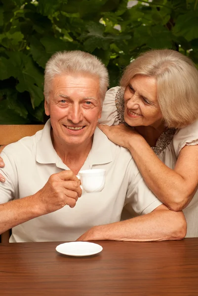 Gelukkig bejaarde echtpaar over de aard — Stockfoto