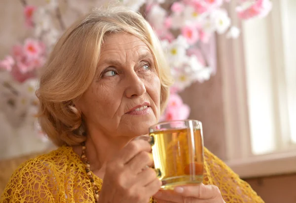 自宅で白人の年配の女性 — ストック写真