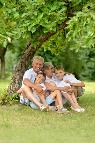 Familie onder een boom — Stockfoto