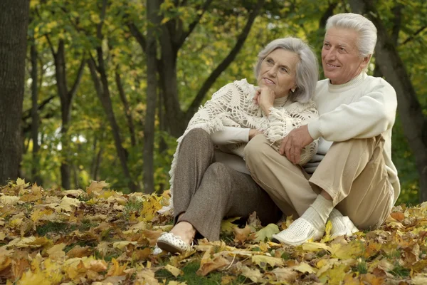 Porträt älteres Paar — Stockfoto