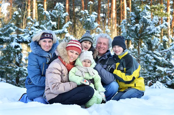 Bonne famille en hiver en plein air — Photo