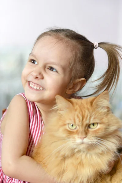 Menina com um gato — Fotografia de Stock