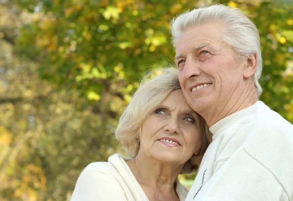 Elderly couple walking in the park — Stock Photo, Image