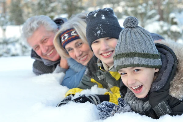 Mutlu bir aile kış açık havada — Stok fotoğraf