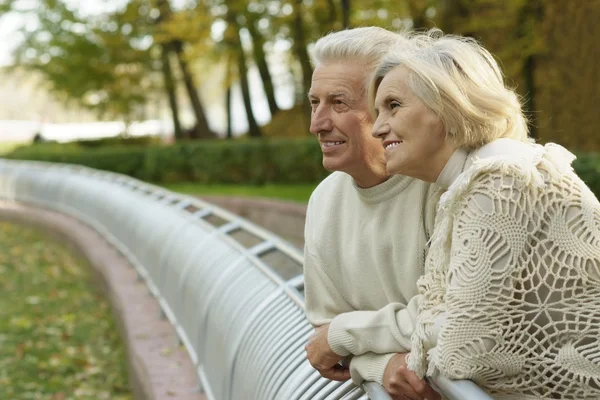 Portrait older couple — Stock Photo, Image