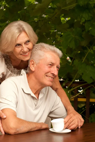 Feliz casal de idosos sobre a natureza — Fotografia de Stock