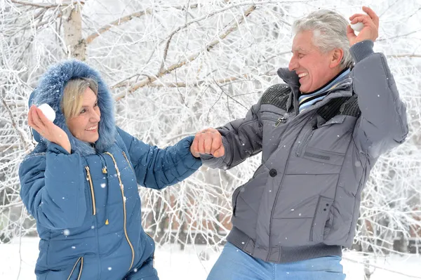 Elderly couple in winter — Stock Photo, Image