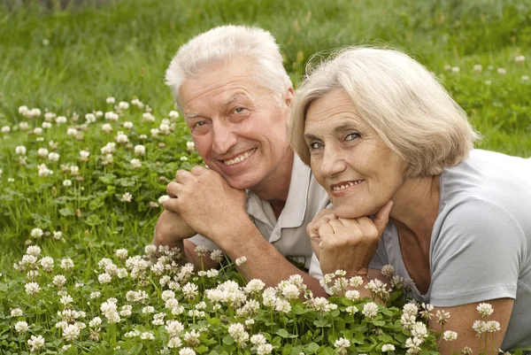 Прекрасная пожилая пара посреди газона — стоковое фото