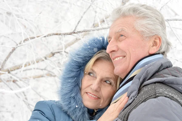 Bejaarde echtpaar in de winter — Stockfoto