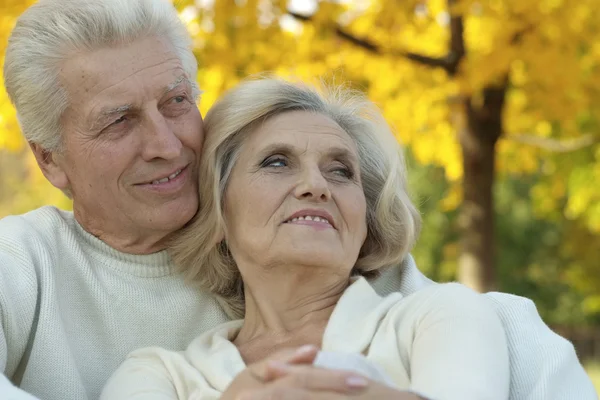 Seniorenpaar in park — Stockfoto