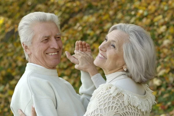 Portrait an elderly couple — Stock Photo, Image