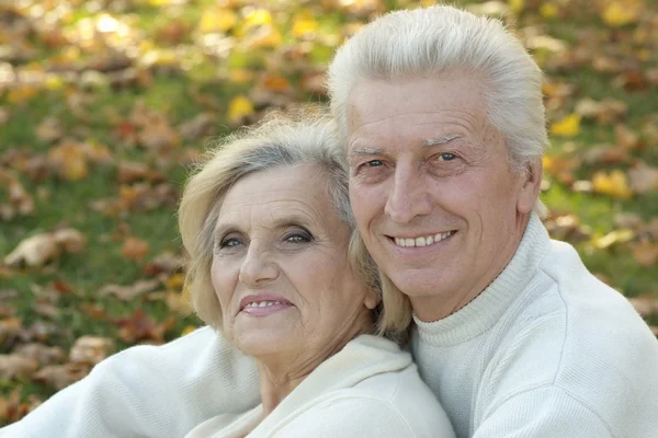 Elderly couple walking — Stock Photo, Image