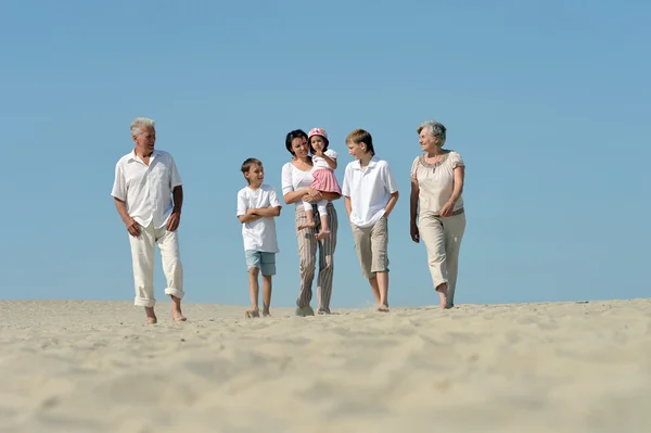 Große freundliche Familie — Stockfoto