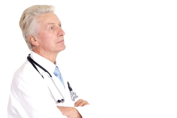 Nice doc in a white — Stock Photo, Image