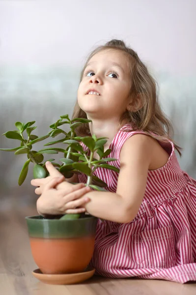 Little cheerful girl Royalty Free Stock Images