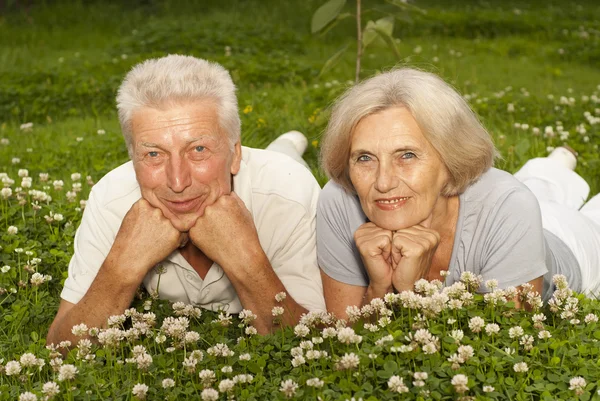 Divertida pareja de ancianos en medio del césped —  Fotos de Stock