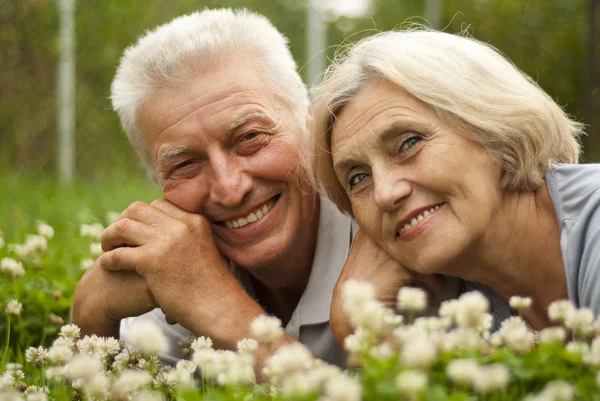 Glad old couple in the middle of the lawn — Stock Photo, Image