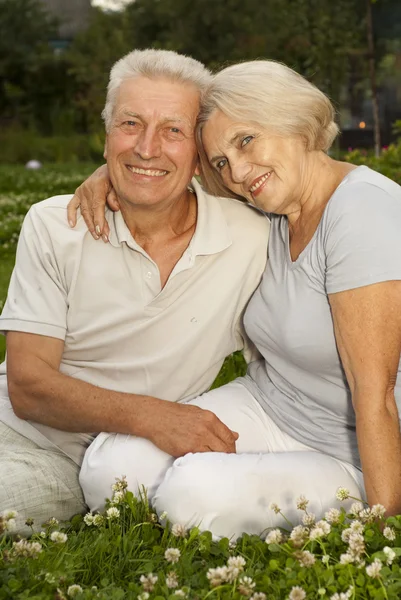 Amusing aged couple in the middle of the lawn — Stock Photo, Image