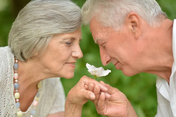 Portrait of an elderly couple — Stock Photo, Image