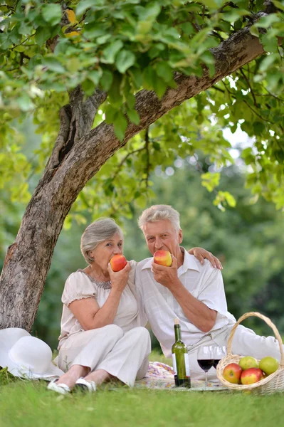 Happy aged couple — Stockfoto