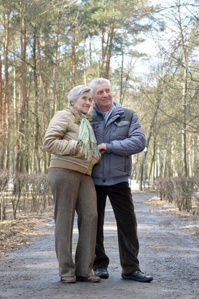 Felice coppia anziana — Foto Stock