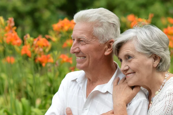 Loving elder couple — Stock Photo, Image