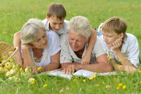 Mutlu bir aile piknik güneşli yaz gününde — Stok fotoğraf