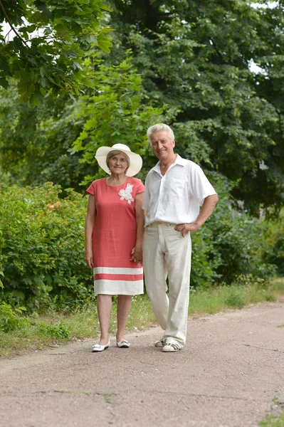 Feliz pareja de ancianos en la naturaleza —  Fotos de Stock