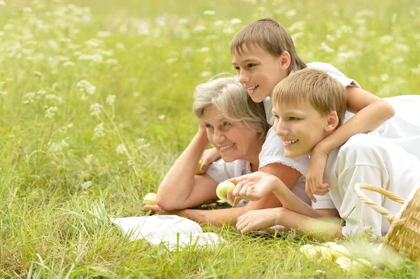 Mutlu bir aile piknik güneşli yaz gününde — Stok fotoğraf