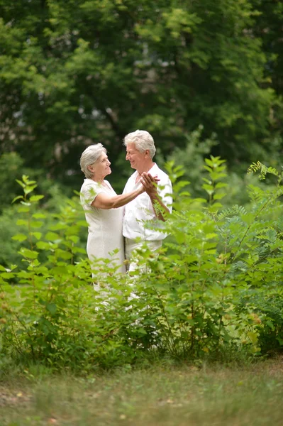 Casal idoso feliz na natureza — Fotografia de Stock