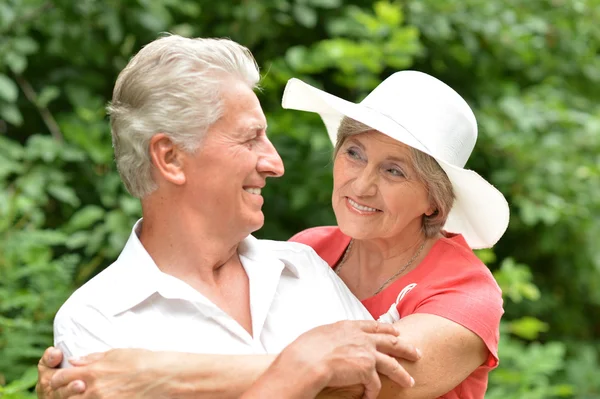 Happy elderly couple at nature Stock Image