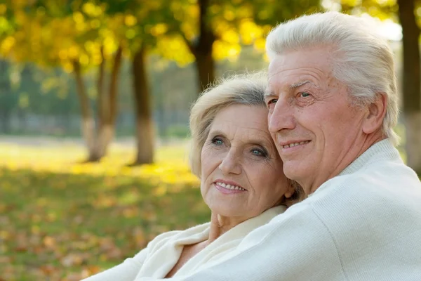 Porträtt av en glad äldre par — Stockfoto
