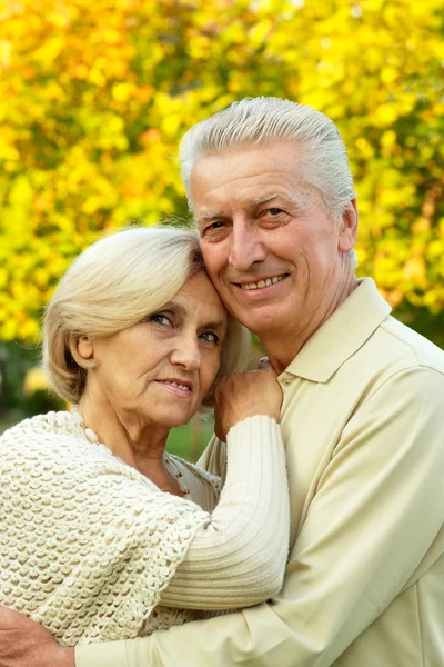 Feliz casal velho — Fotografia de Stock