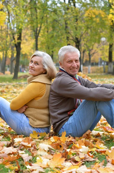 Cute older couple sitting in autumn park — Stock Photo, Image