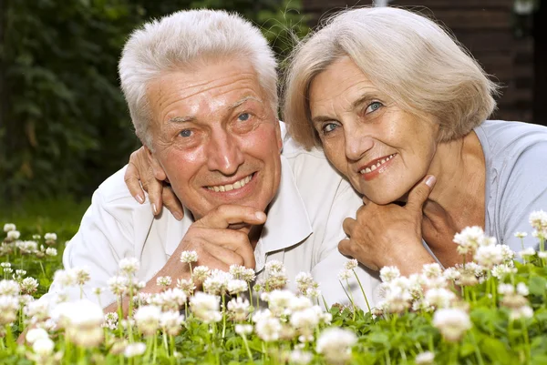 Adorable old couple in the middle of the lawn — Stock Photo, Image