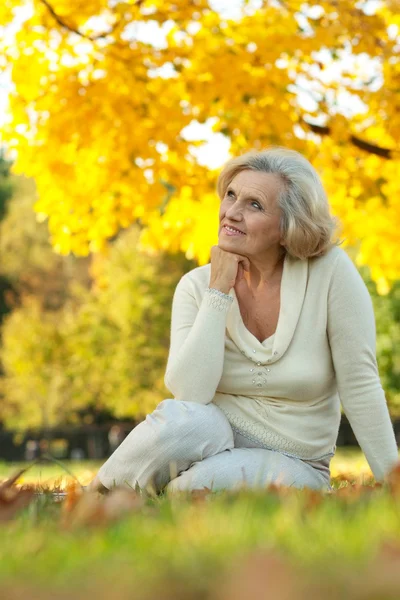 Retrato de una buena anciana sentada — Foto de Stock