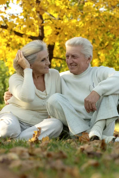 Nice elderly couple sitting in autumn park — Stock Photo, Image