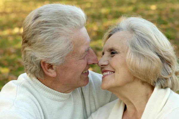 Bonita pareja mayor en el parque de otoño — Foto de Stock