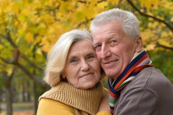 Retrato de um velho casal de pé — Fotografia de Stock