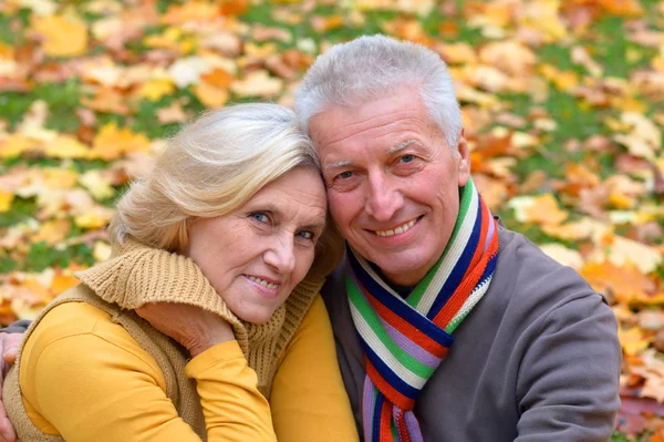 Elderly couple sitting — Stock Photo, Image