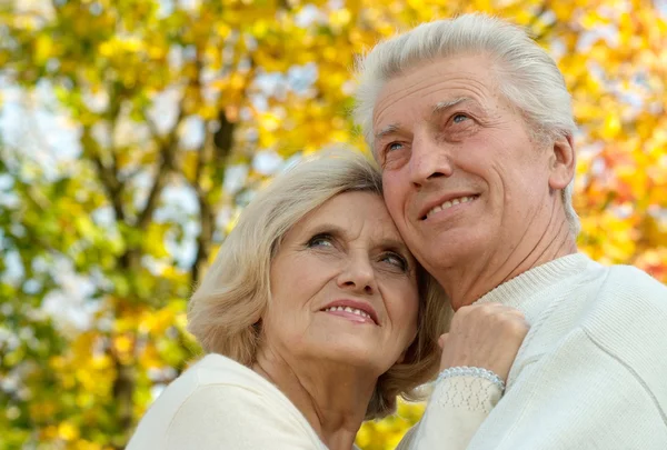 Porträt eines netten alten Ehepaares — Stockfoto