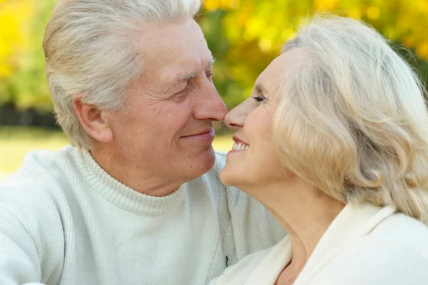 Buena pareja de ancianos de pie —  Fotos de Stock