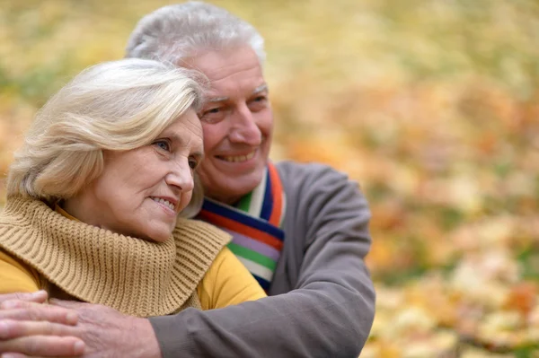 Portret van een schattig oud koppel — Stockfoto