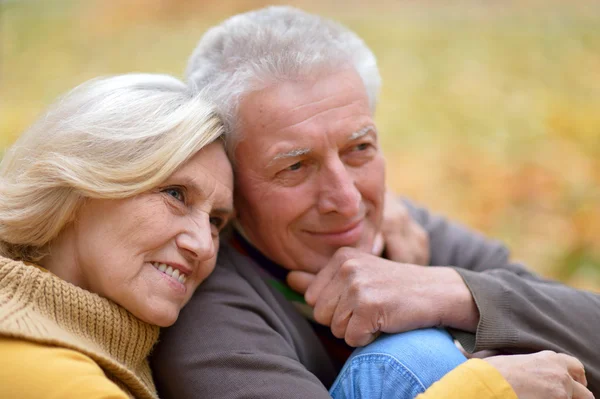 Portrait of a cute old couple — Stock Photo, Image