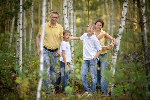 Lycklig familj i en björkskog — Stockfoto