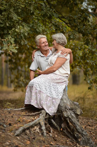 Oude paar in het bos. — Stockfoto