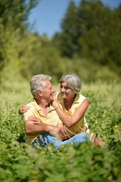 Adorable old couple in the middle of the field — Stock Photo, Image