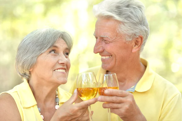 O velho casal bebendo vinho — Fotografia de Stock