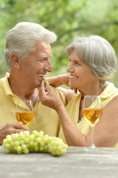 O velho casal bebendo vinho — Fotografia de Stock