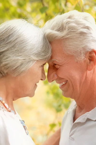 Old couple outdoors — Stock Photo, Image